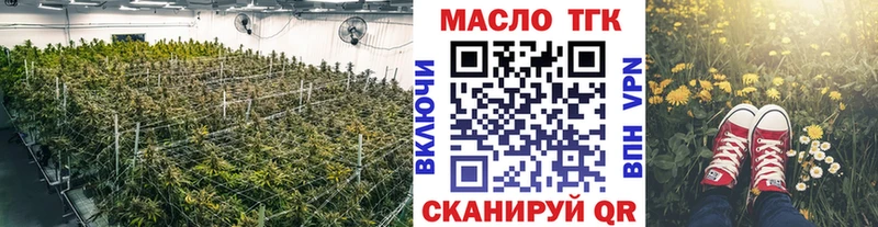 цена   Пикалёво  ТГК концентрат 